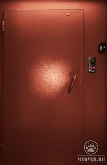 Дверь с домофоном-17
