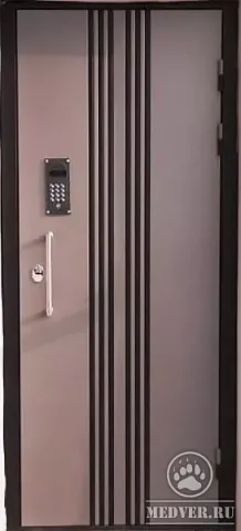 Дверь с домофоном-58